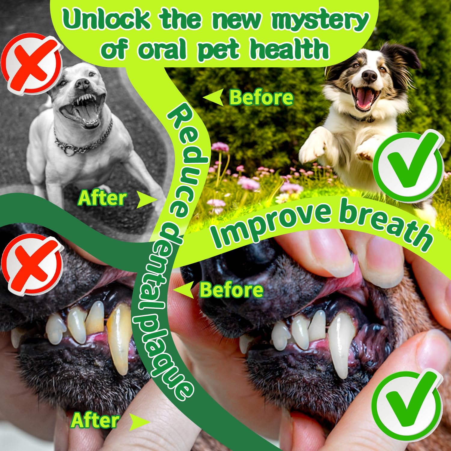 Mimo Style Dog Dental Powder, Dog Teeth Cleaning Powder, Targets Tartar & Reduces Plaque & Bad Breath - Teeth Cleaning Made Easy Eliminate - Meat-Flavored Formulated (Green) - image 3
