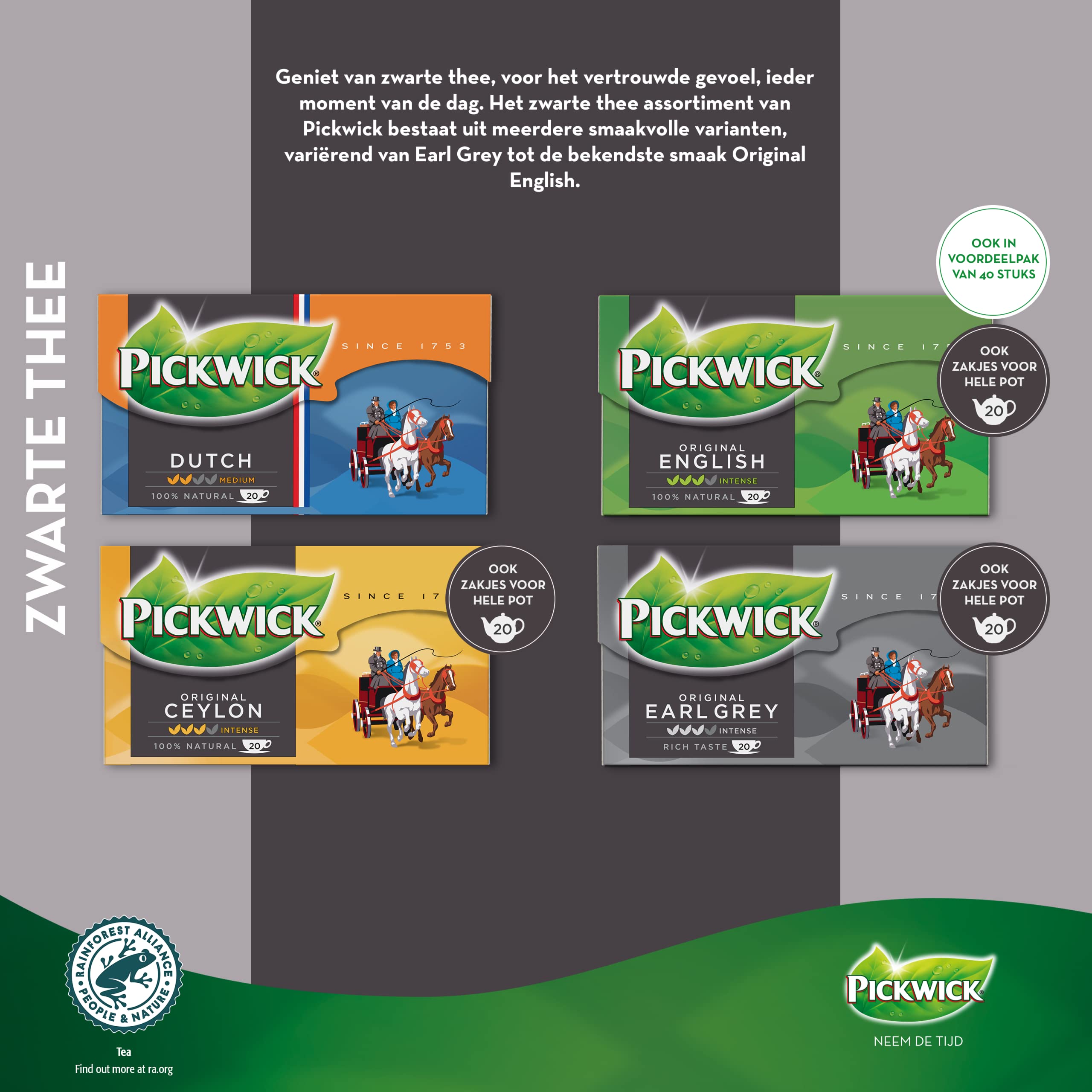 Pickwick Tea | Mezcla De Inglés | Pickwick Tea Bags | Pickwick Dutch Tea | 24 Pack | 1920 Gramo Total