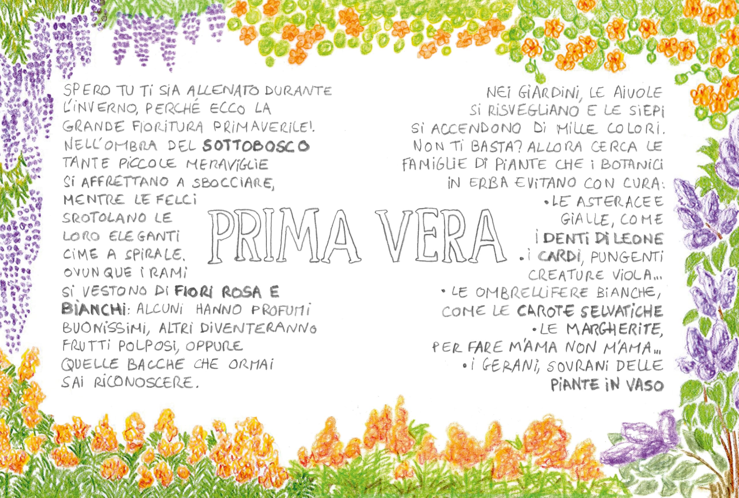 Piccola flora del viandante