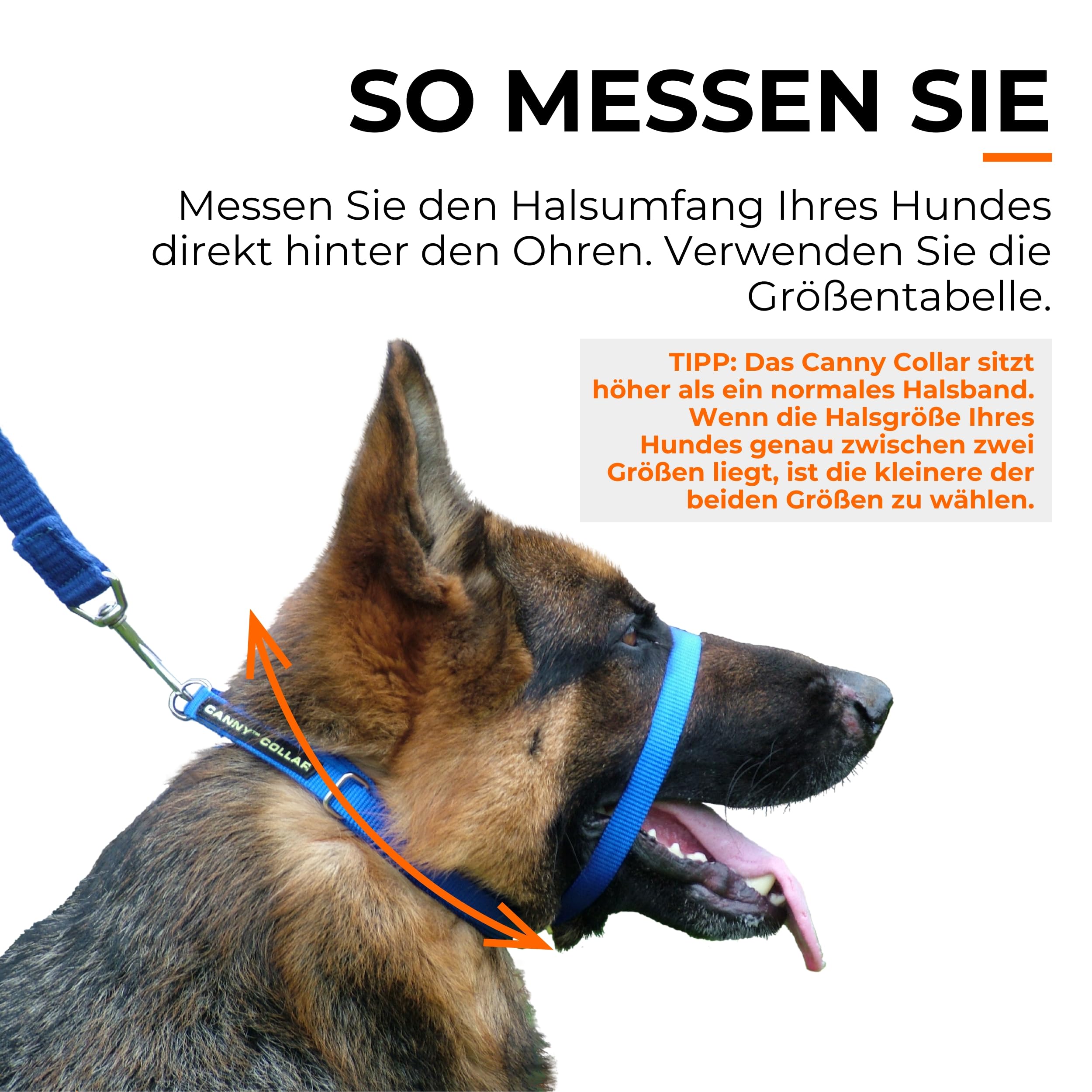 Canny Collar Hundehalsband | Für bessere Leinenführigkeit, lockeres Laufen an der Leine, mehr Kontrolle & entspannte Spaziergänge ohne harte Korrektur.