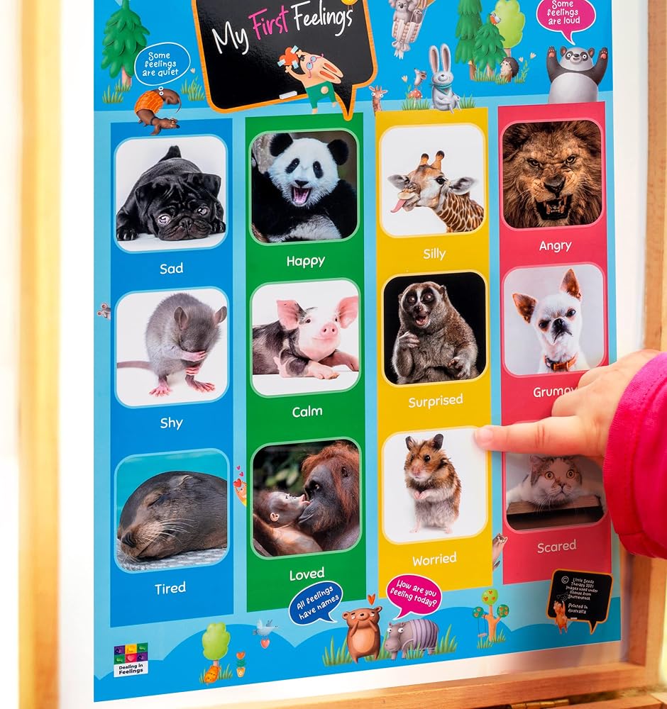 Dealing in Feelings Kids Emotion Chart - Zones of Botswana | Ubuy