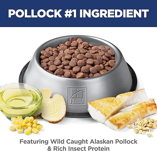 Miniatura 4 de Hill's Science Diet Sensitive Stomach & Skin, Adult 1-6, Stomach & Skin Sensitivity Support, Dry Dog Food, Pollock, Barley, & Insect Recipe, 12 lb