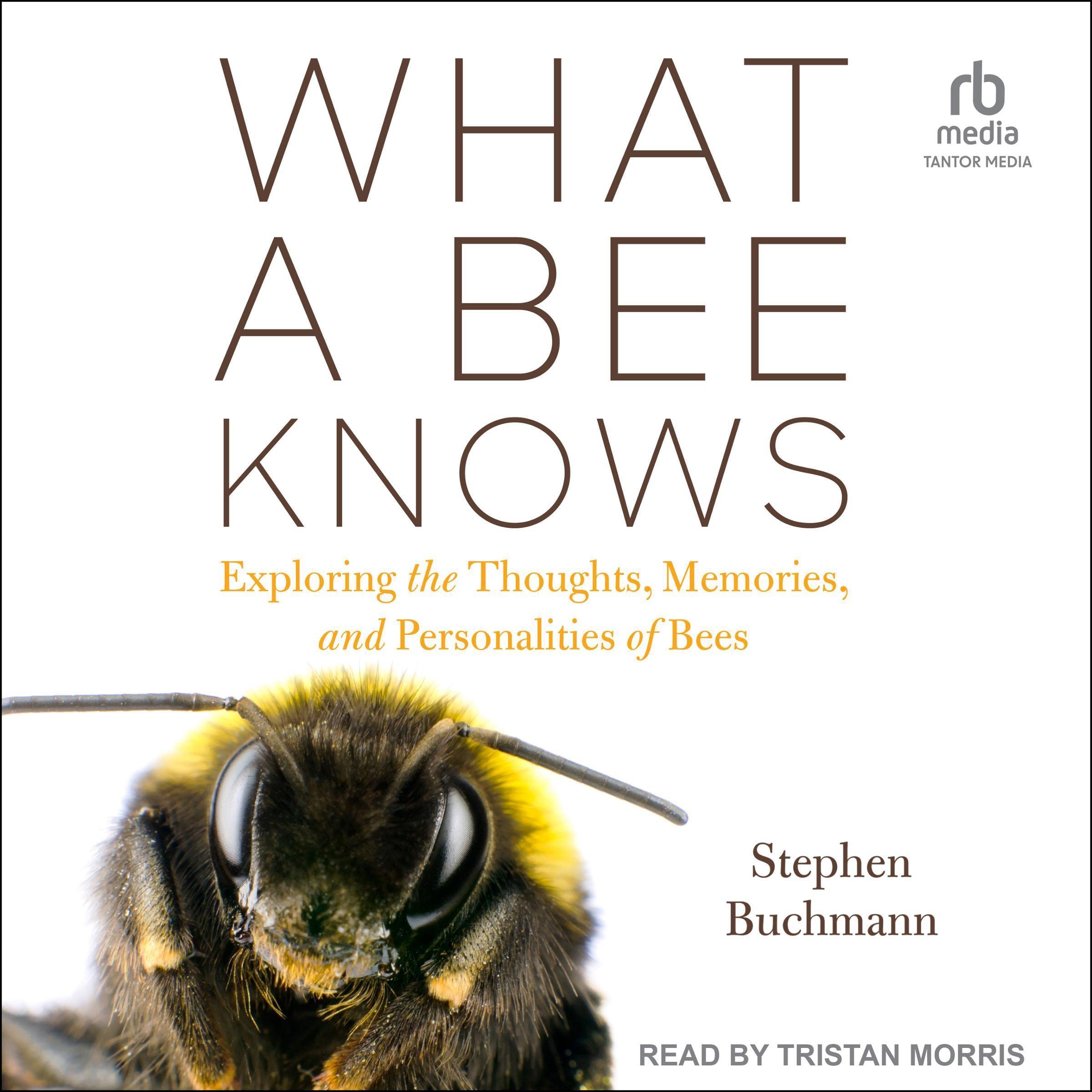 Cover art for What a Bee Knows