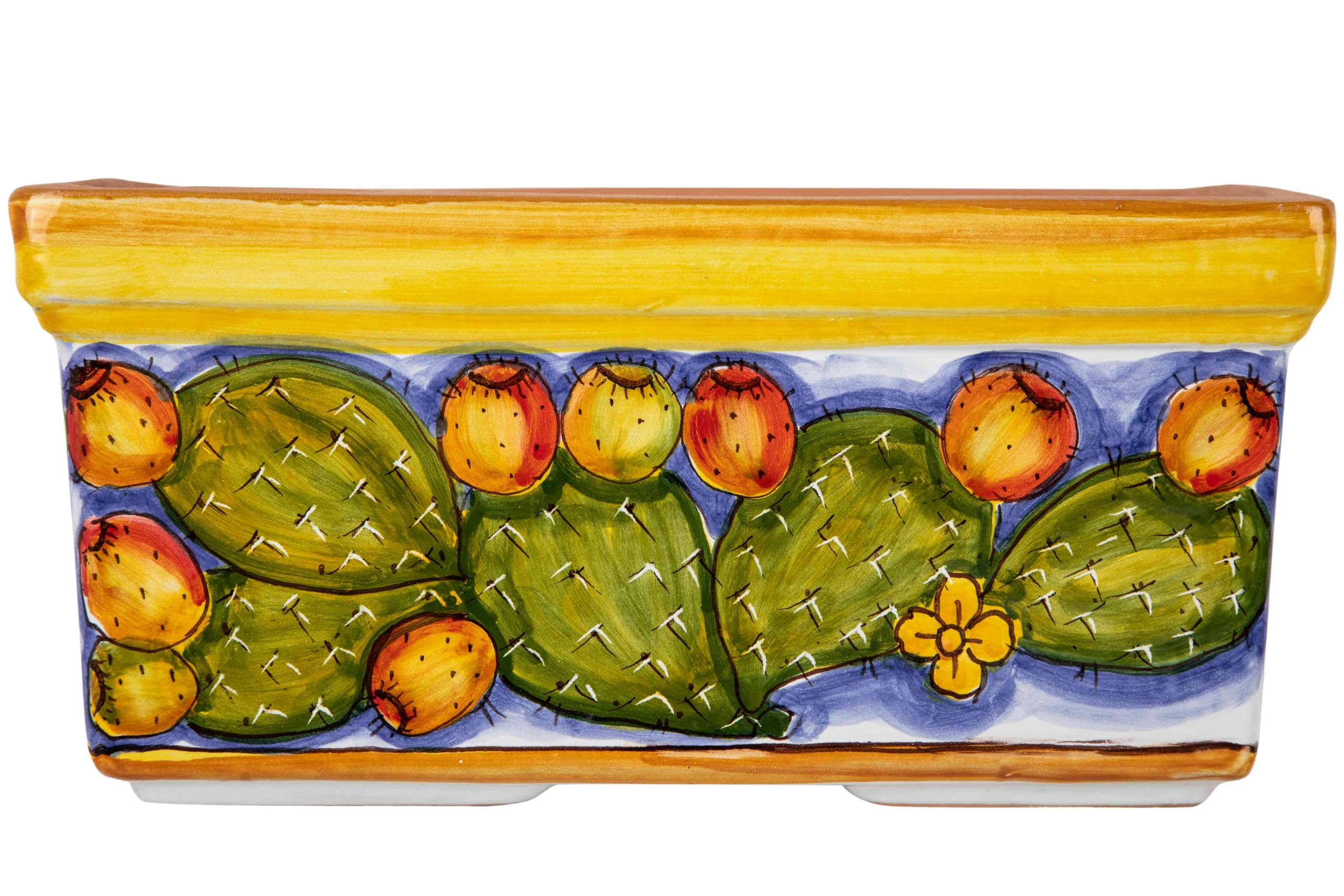 Pot de fleurs rectangulaire de style sicilien pour sublimer vos cactus de salon 30 x 21 cm