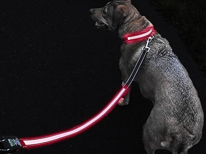 Dog lead light Clearance