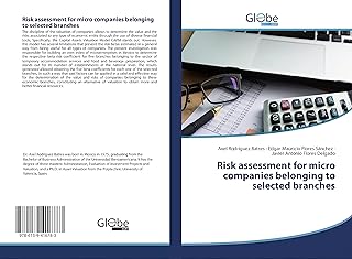 Risk assessment for micro companies belonging to selected branches