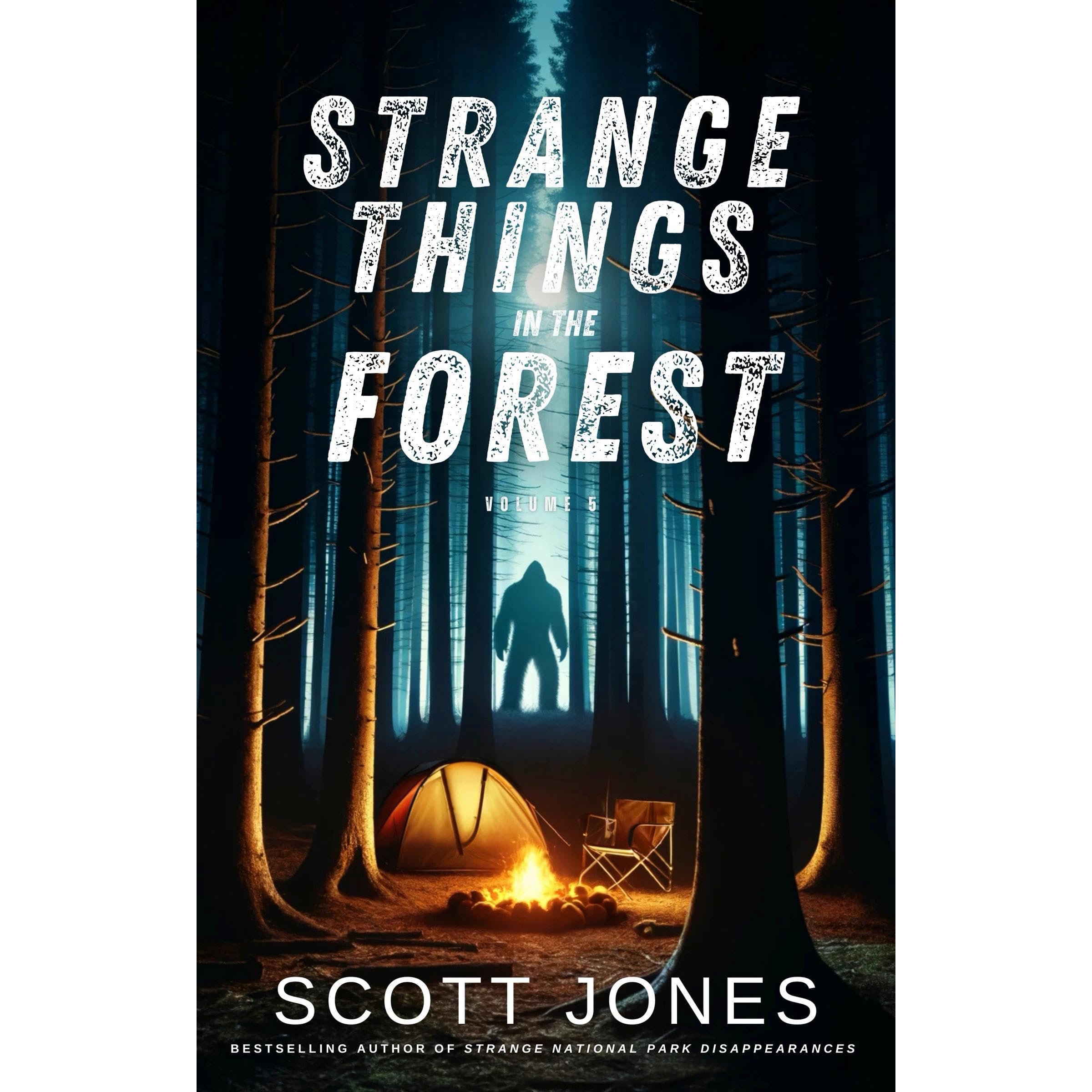 Strange Things In The Forest