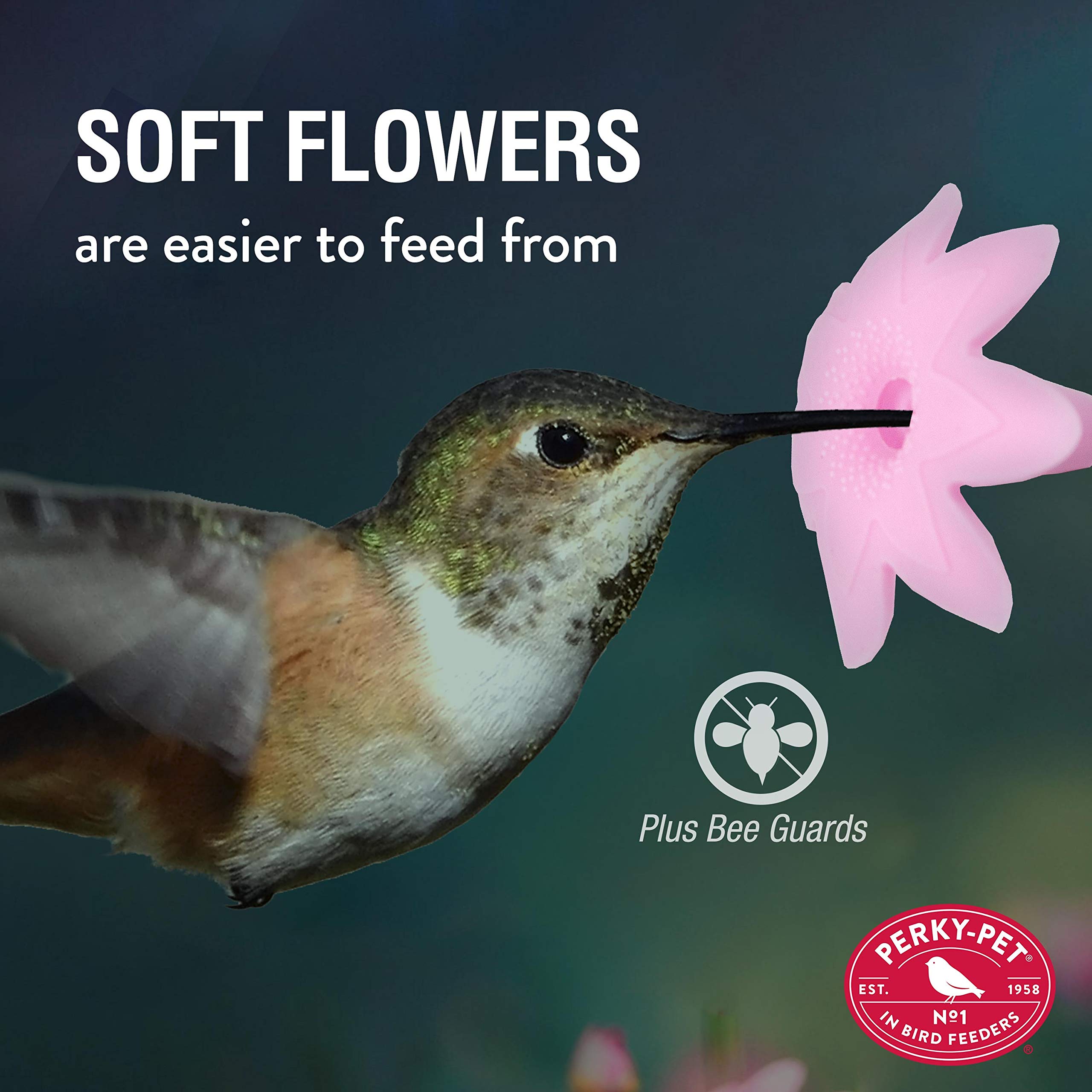 Perky Pet 209BW Our Best Royal Berry Hummingbird 30 oz Bird Feeder