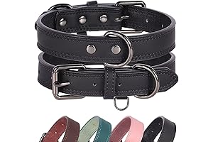 Didog Black Leather Collar: The Epitome of Durability and Comfort for Your Canine Companion