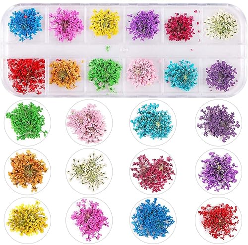 Flores secas en uñas 3D StickerArt & Resina Craft DIY Cinco pétalos Flor Hoja Gypsophila Real Dry Flower Nail Art Decoración Kits., LP101