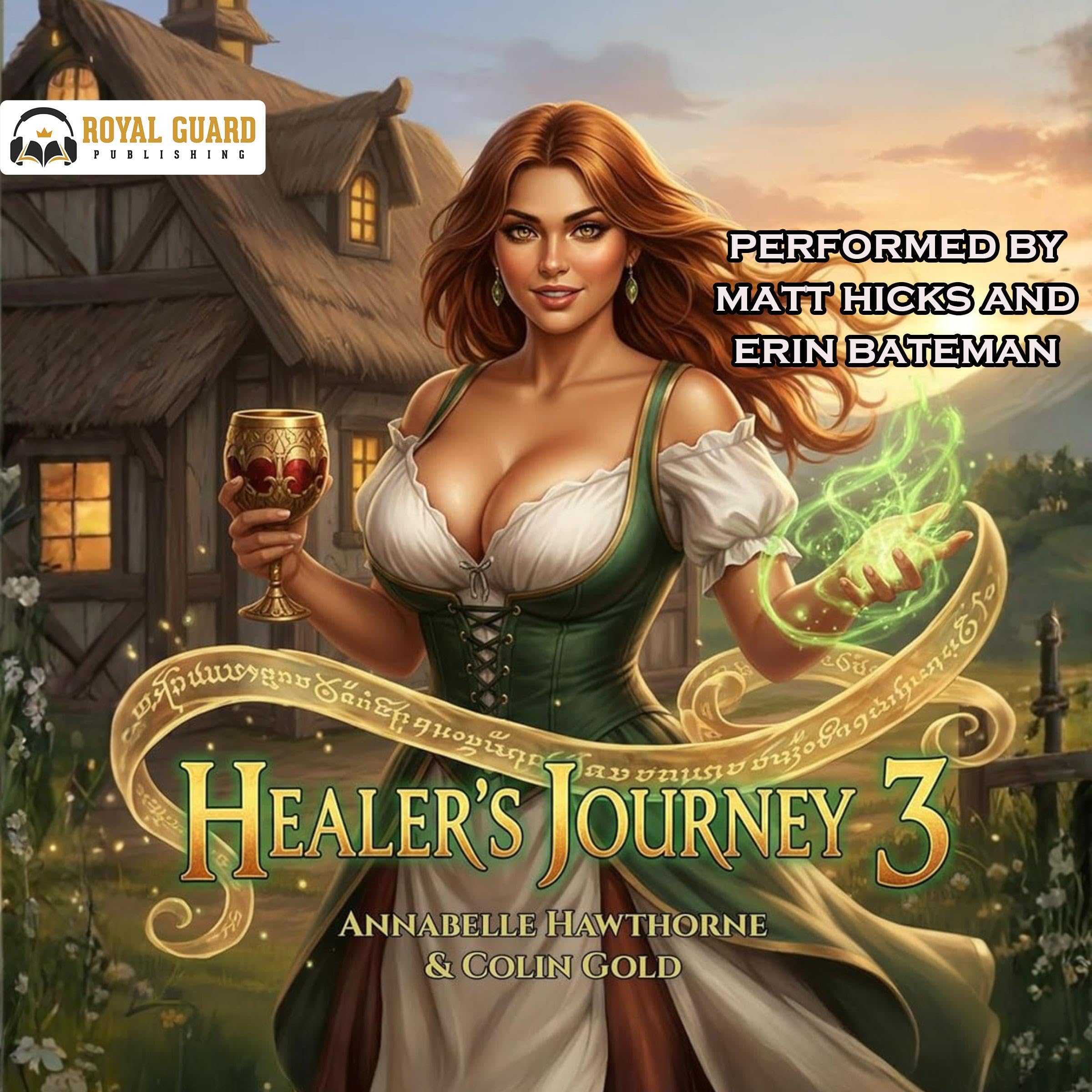 Cover art for Healer's Journey 3