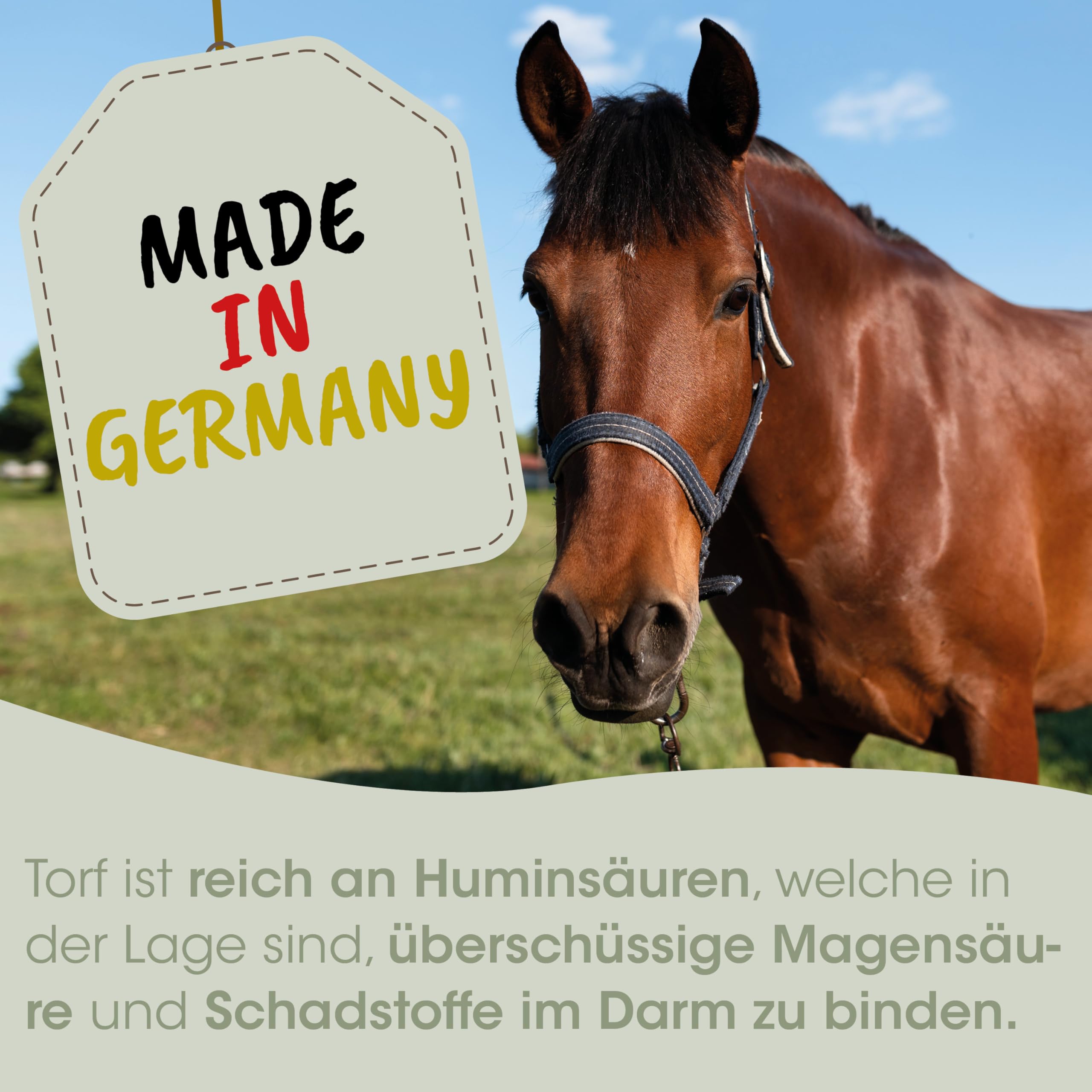 cdVet EquiGreen 100% Natur Micromineral Plus Nahrungsergänzungsmittel für Hunde, 4 kg