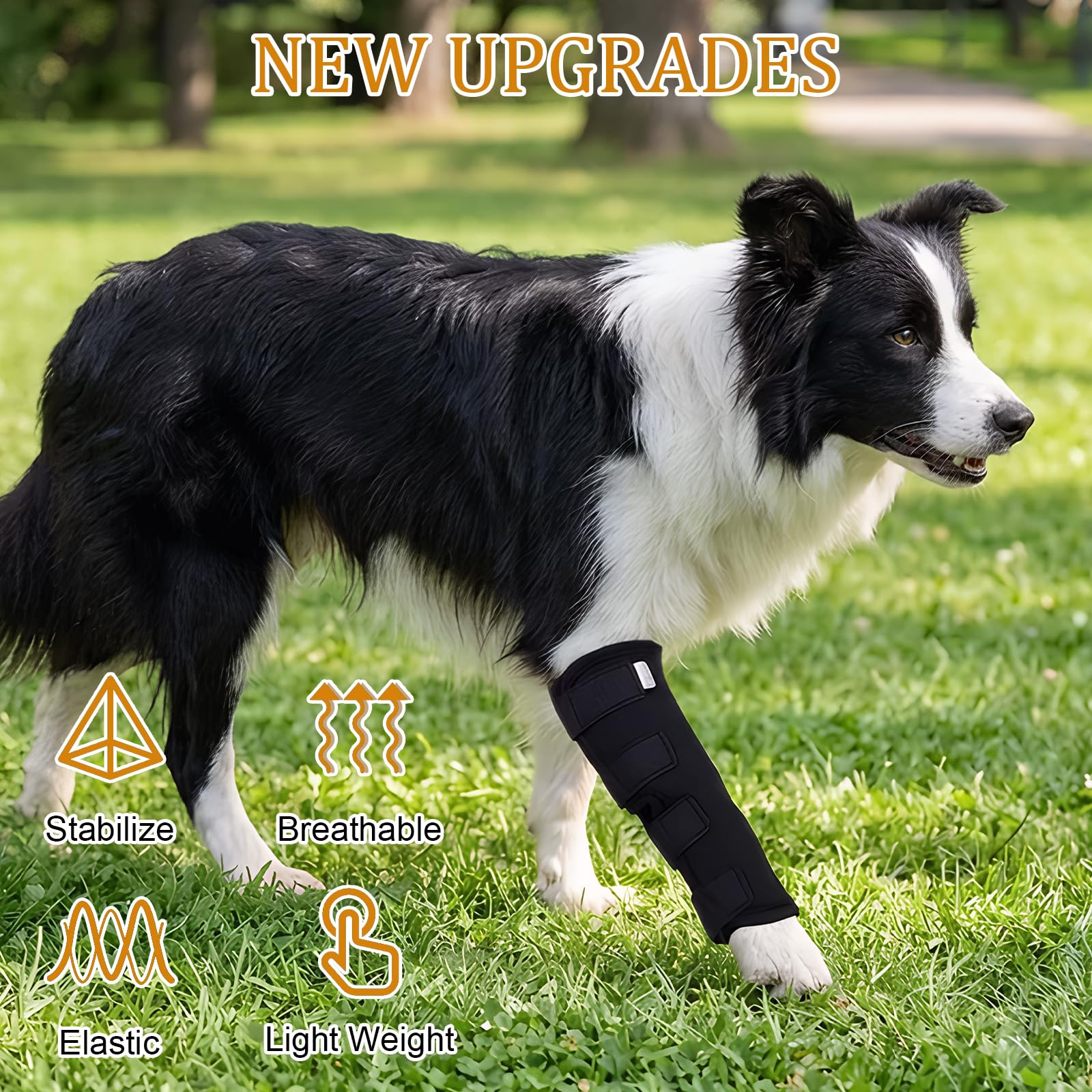 Bendaggio articolare per cani con protezione contro le perdite, benda di supporto per cani