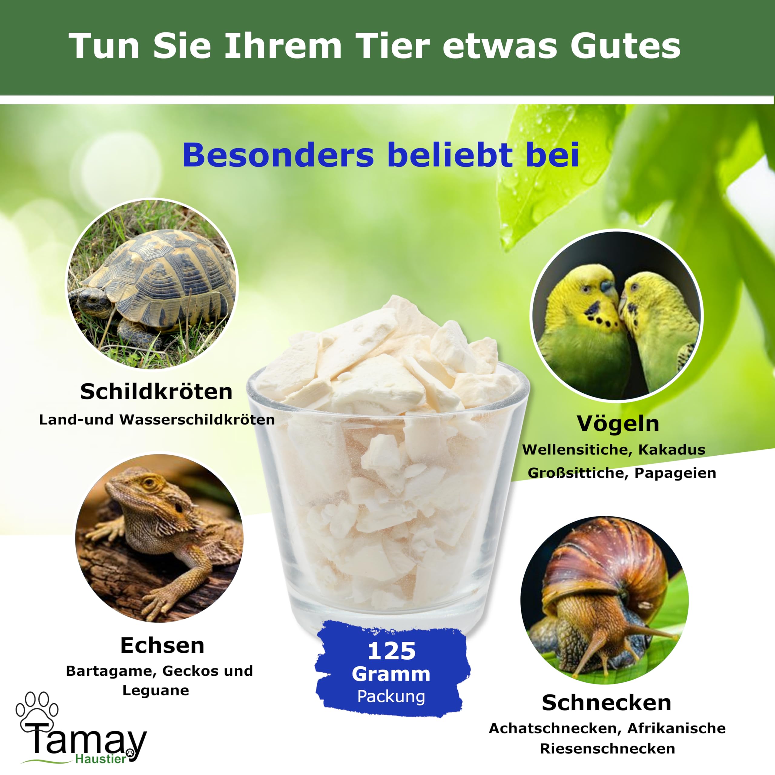 Sepia-Schalen Bruch 100g - Natürliche Calciumquelle Für Reptilien