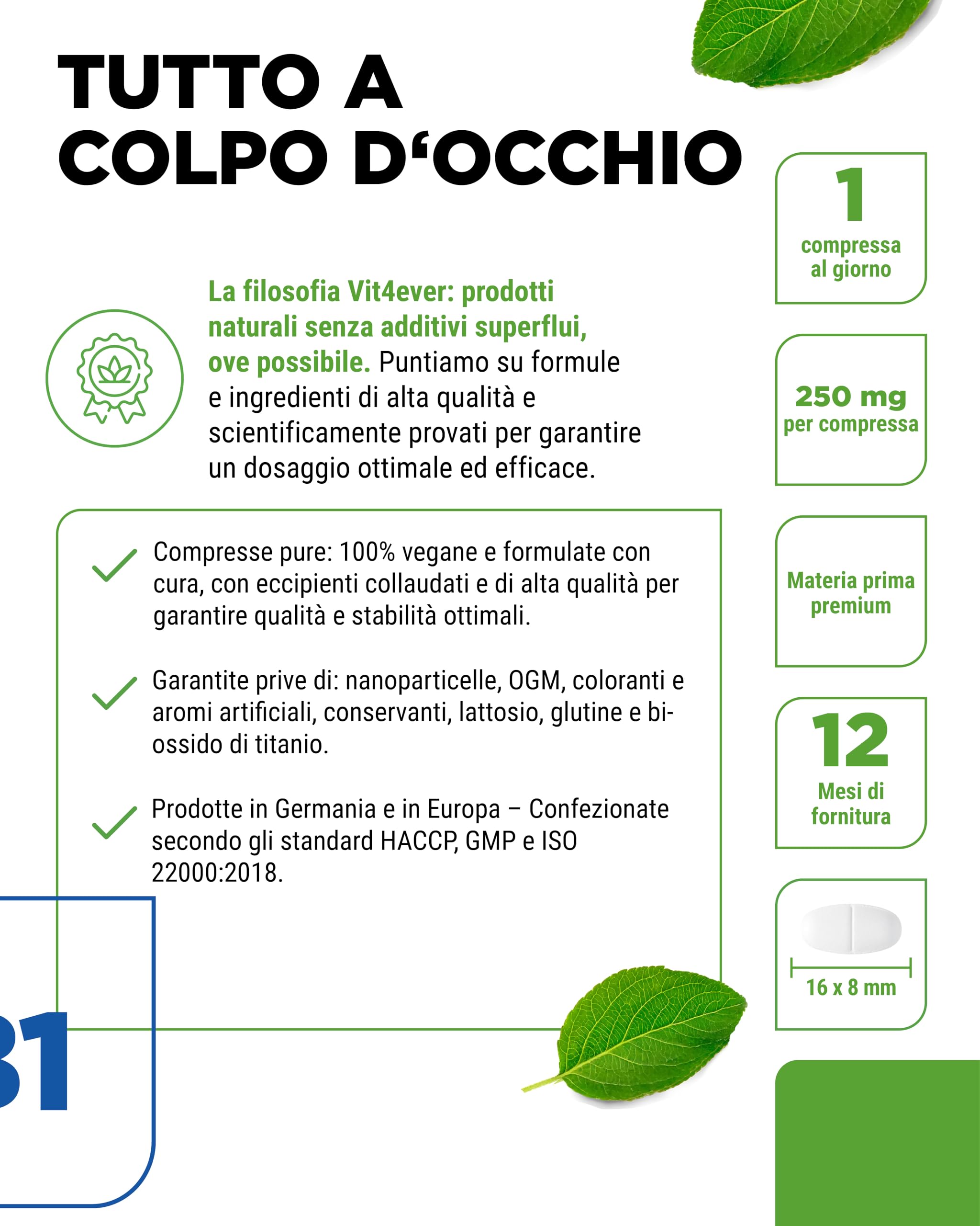 Vitamina B1 (Tiamina) - 250 mg - 365 compresse - Premium: tiamina cloridrato - Elevata biodisponibilità - Fornitura per 12 mesi - Senza additivi indesiderati - Vegan