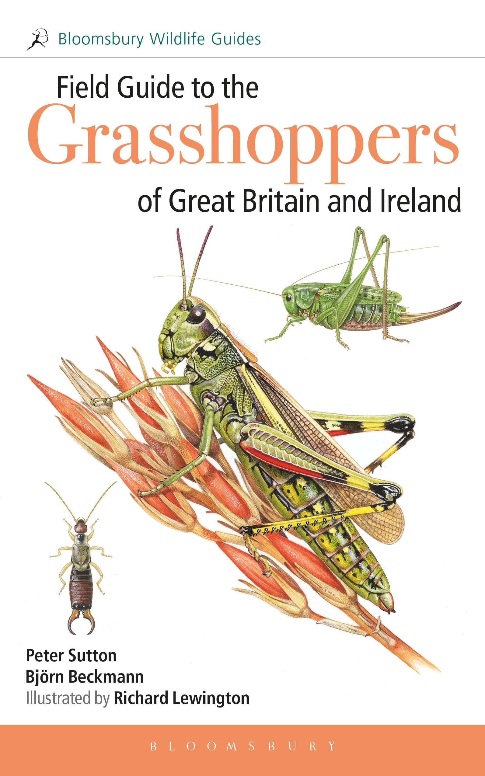 Field Guide to the Grasshoppers and Allies of Great Britain and Ireland: Grasshoppers, crickets, earwigs, cockroaches, stick-insects and mantids (Bloomsbury Wildlife Guides)
