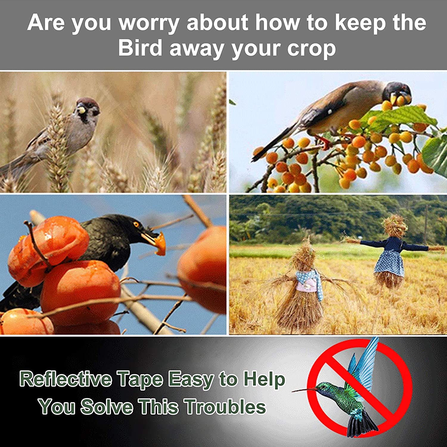 2 Pièces Anti Oiseaux Bande, Ruban Réfléchissant Pour Oiseaux