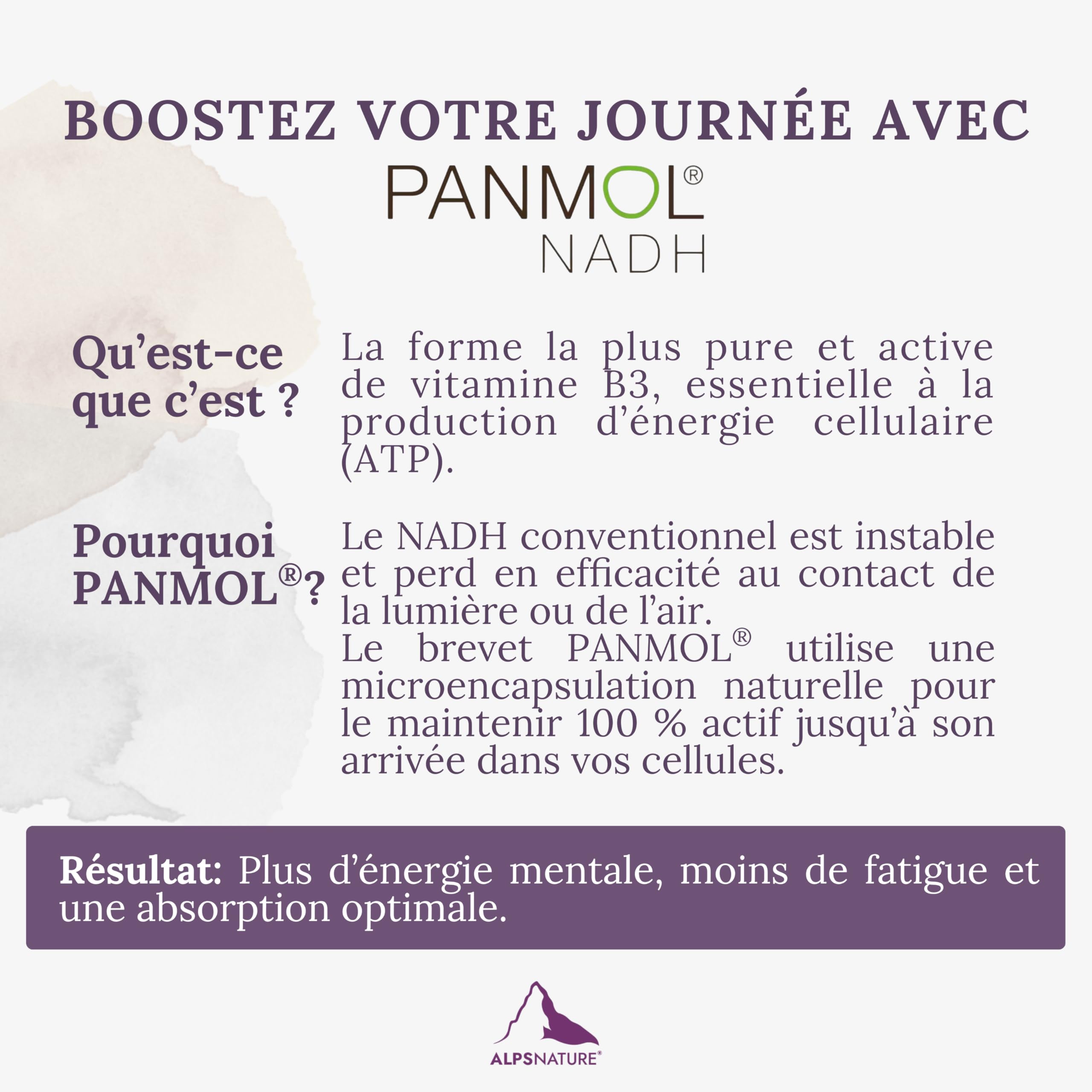 NADH 40mg Panmol Breveté + Trans-Resvératrol 98% Pur – Énergie Cellulaire & Haute Biodisponibilité – 120 Gélules Végétalien & Sans Gluten - Fabriqué en France & testé en laboratoire