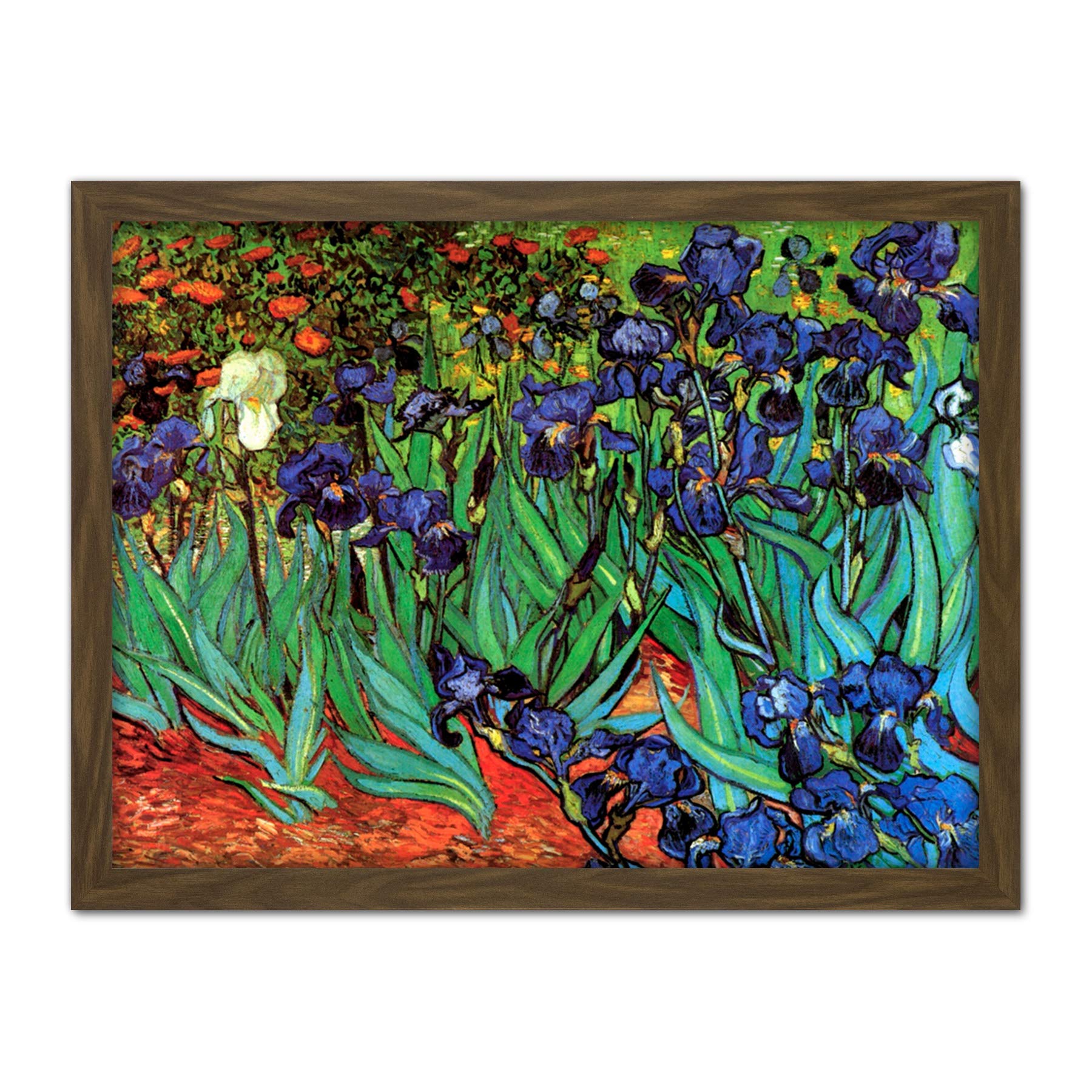 Wee Blue Coo Van Gogh Irises Artwork Framed Wall Art Print 18X24 Inch