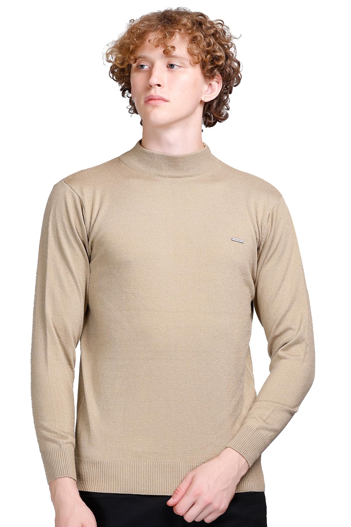 Woolen Full Sleeve Sweaters for Men Winter Wear - Turtle Neck Pullover for Men Stylish-image-18