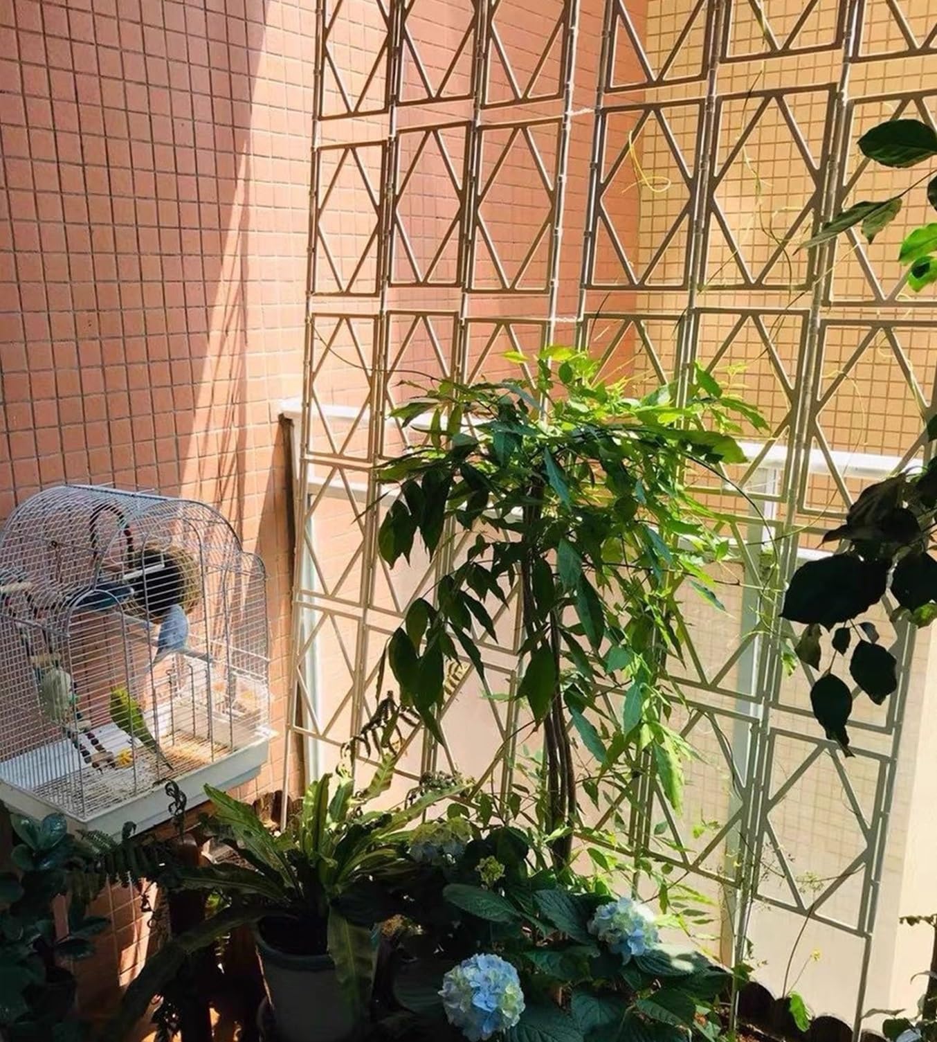 LTSRLL Obélisque en Treillis De Jardin en Métal 90 Cm H X 60 Cm L ~ 220 Cm H X 60 Cm L Support De Fleurs Décoratif Installation Facile Tuteur Végétal pour Légumes, Roses Et Vignes(White,120cm/47.2in)