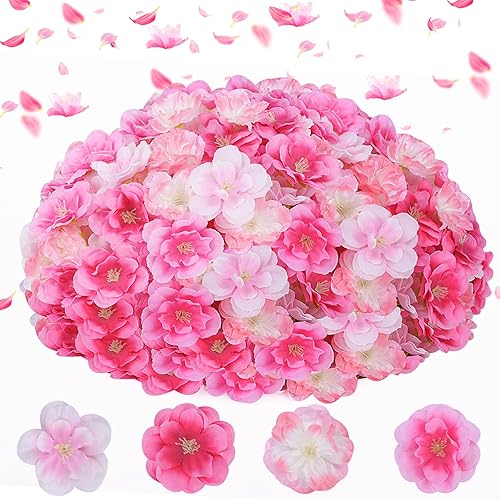 LESHABAYER Cabezales de flor de cerezo, 100 piezas artificiales de seda falsa flor de cerezo Sakura, decoraciĂłn de cabeza floral para manualidades, LESHABAYER Cabezales de flor de cerezo, 100 piezas artificiales de seda falsa flor de cerezo Sakura, decoraciĂłn de cabeza floral para manualidades,