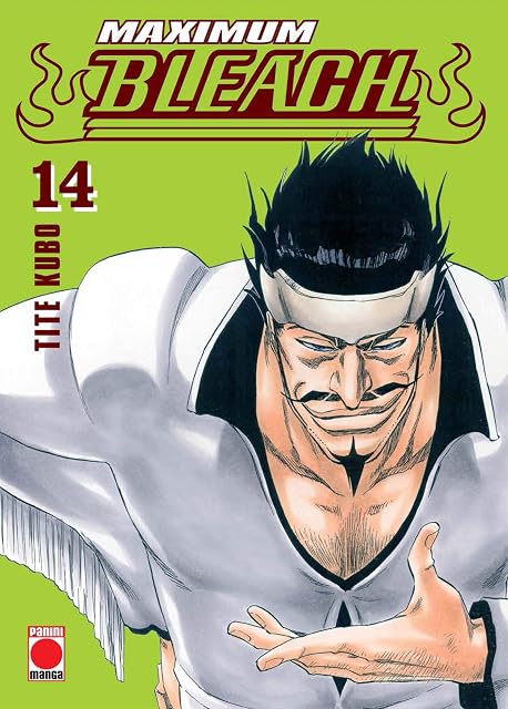 Portada de Maximum Bleach 14