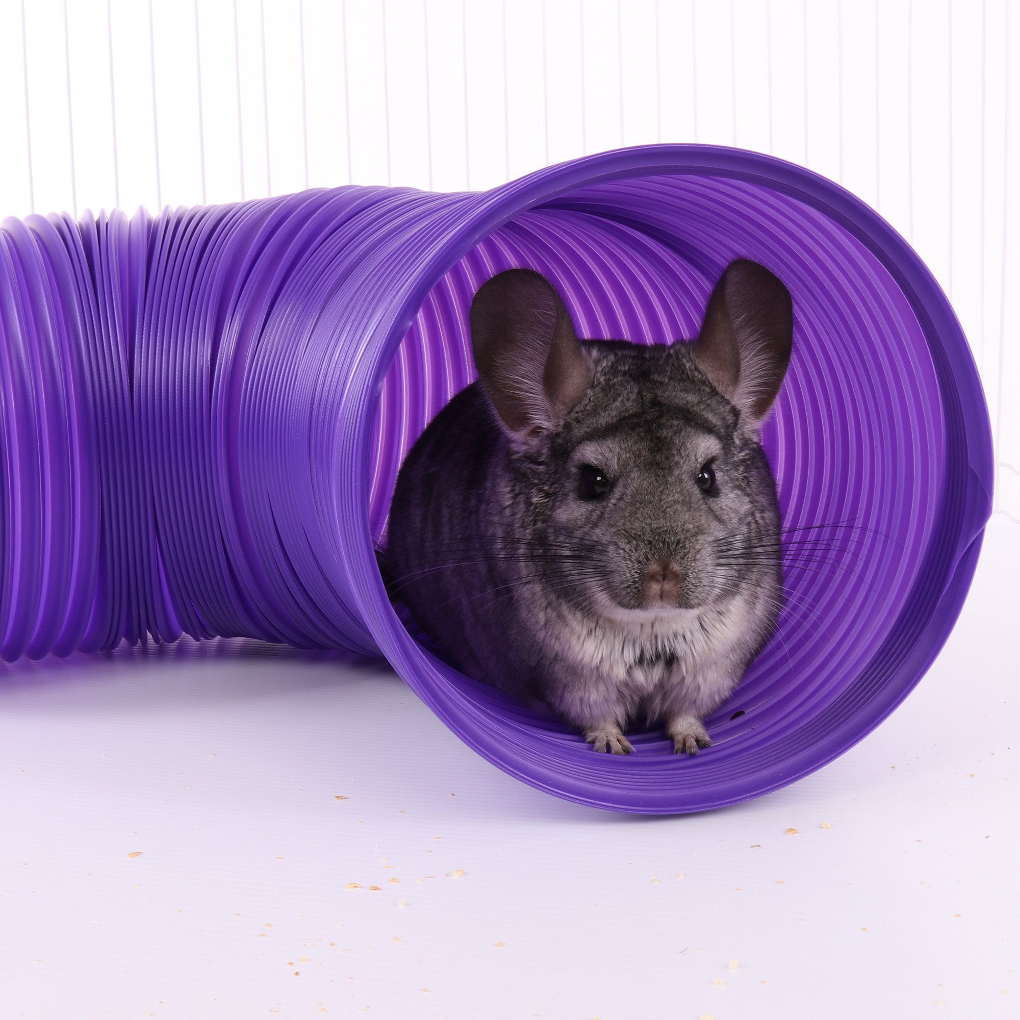 WARE MANUFACTURING Fun Tunnels Tube de Jeu pour Petits Animaux de Compagnie, 76,2 x 20,3 cm – Taille L