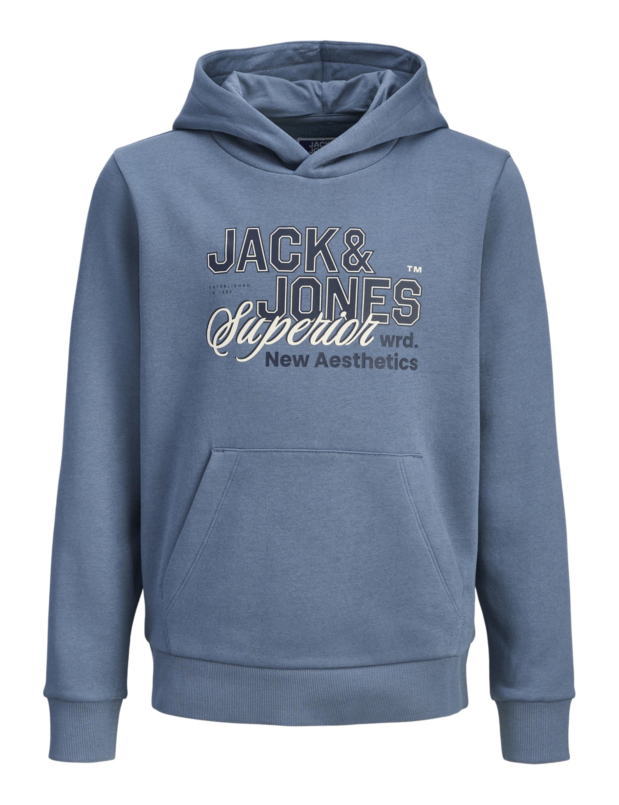 JACK & JONES Jjelogo Sweat Hood 2 Col 25/26 Noos Mni