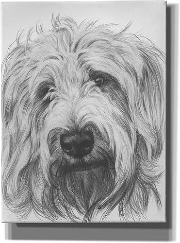 Miniatura 9 de Epic Graffiti 'Labradootle' de Barbara Keith, arte de pared en lienzo, 18 x 26 pulgadas