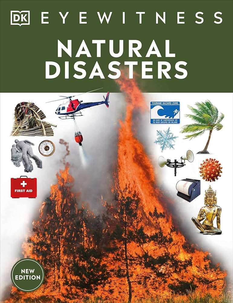 【CD】NATURAL DISASTERS / SUPERNATURAL Supernatural – Natural Disasters – Cassette (Album, Limited