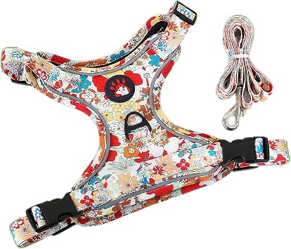 LOS ANDES Dog Harness with Lead Reflective Soft Padded Chest Harness Floral Printed Harness for Puppies Small Dogs