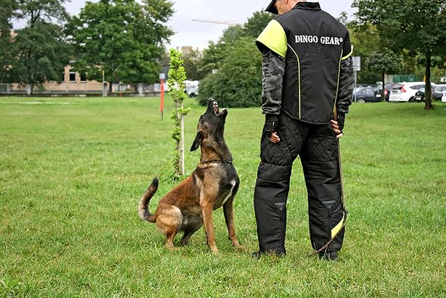 Foto 4 de 8 de DINGO GEAR S01035 - Traje de Entrenamiento para Perros (1,9 kg)