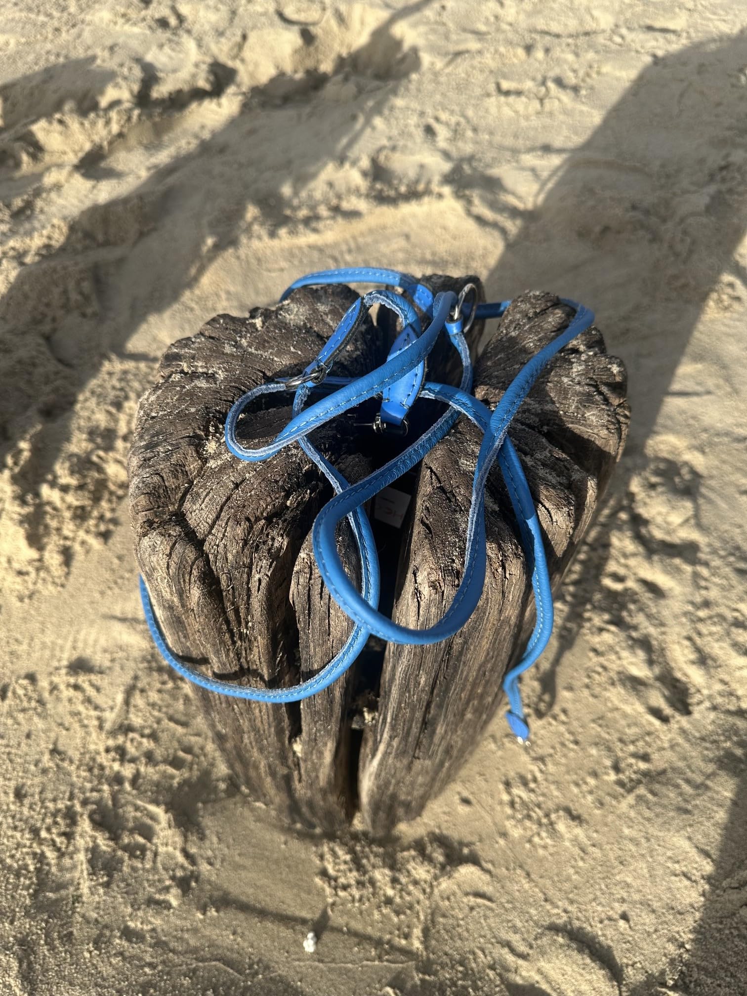 Guinzaglio per cani in vera pelle 961, 8 mm x 220 cm, perfetto per cani di piccola taglia