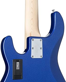 Amazon.com: Sterling By Music Man StingRay RAY5HH Bass Guitar