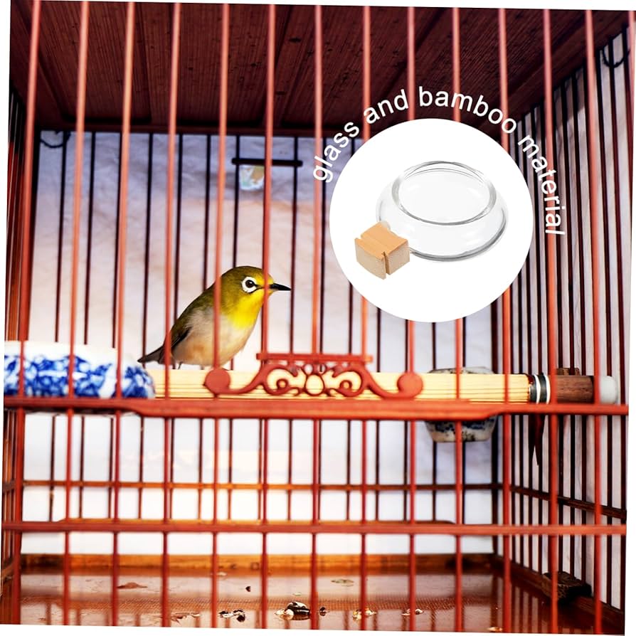 Amazon | LEDMOMO 3個 鳥かごのガラス製餌場と水飲み場 小さな