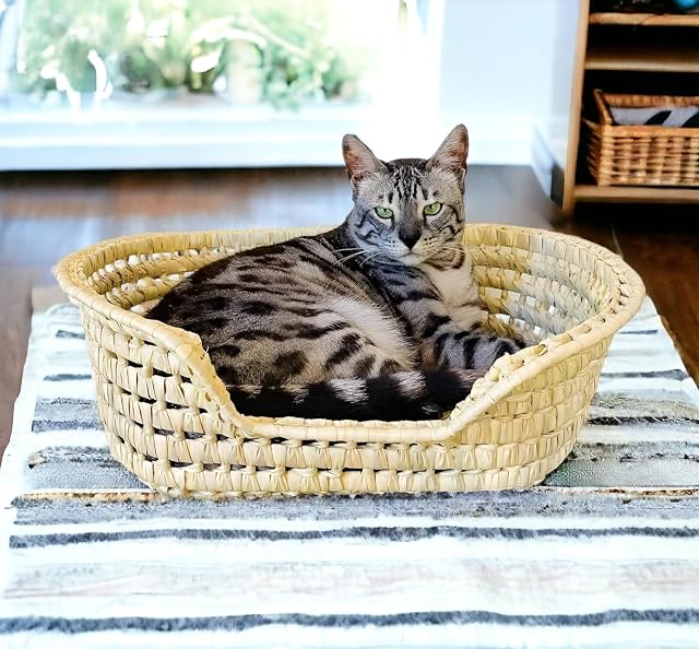 Foto 3 de 5 de COSHANO Cesta Cama para Gatos y Perros en Palma Trenzada. Moisés para Animales Mascotas. Cama para Gatos…