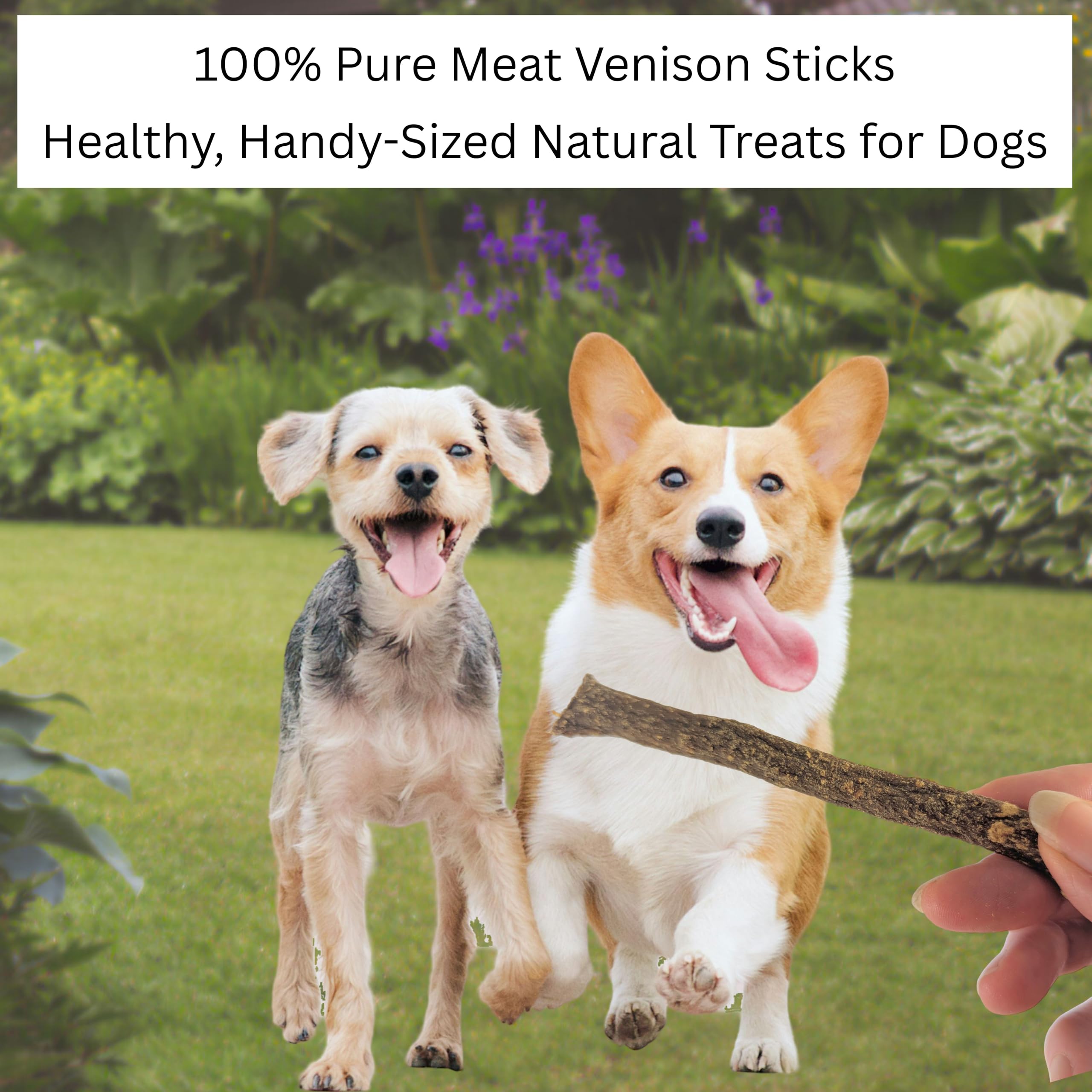 Pure Venison Sticks for Dogs by Britten and James (200g). Healthy, 100% Natural Pure Meat, Grain Free - Image 2