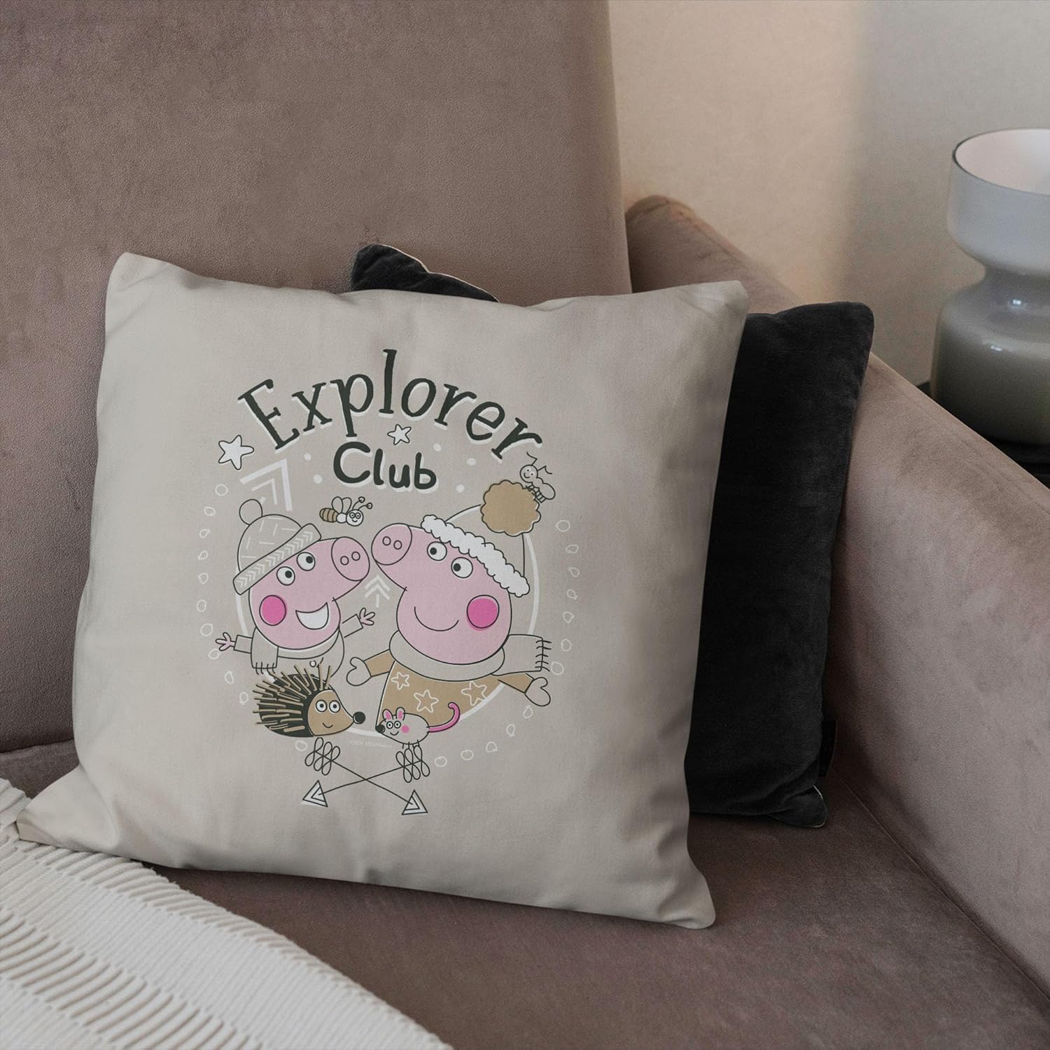 Northwest Pillow, Square, Explorer Club