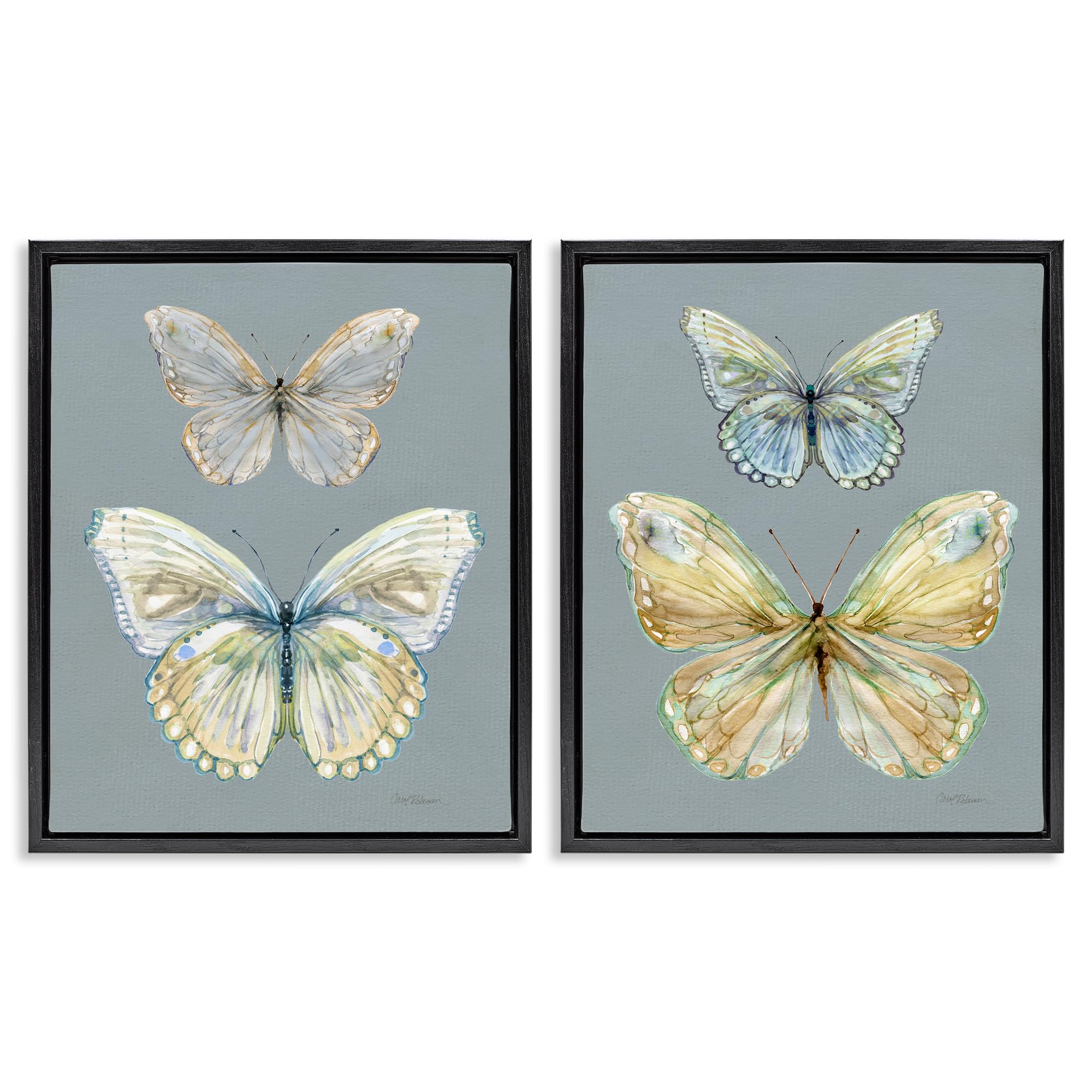 Stupell Industries 'Butterfly Pairs over Slate', 2pc Floating Frame Art Set 2, Black, 25 x 31 Inches, Easy to Hang and Sturdy, Made in USA, by Carol Robinson