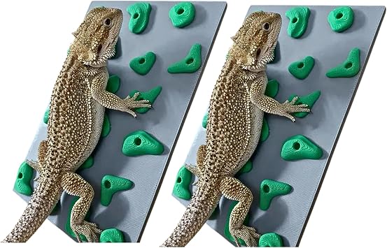2 Pack Miniature Reptile Rock Climbing Wall Enclosure Enrichment for Bearded Dragons, Geckos, and Small Pets Fun Activity and Habitat Decor