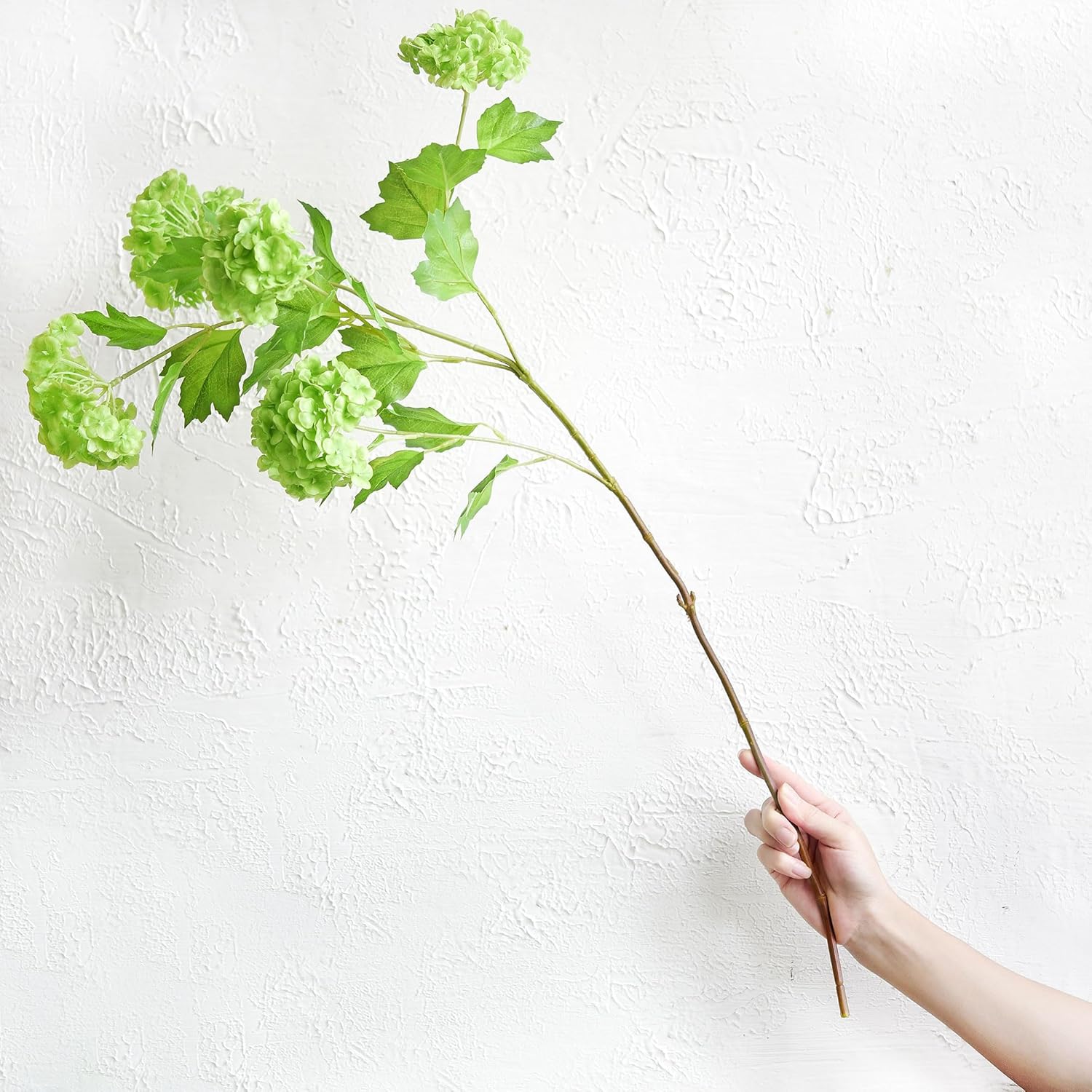 FiveSeasonStuff Kiwi Green Snowball Viburnum Long Stem Real Touch Artificial Flowers 2 Stems