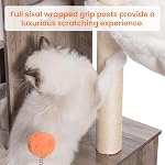 Heybly Arbre de chat avec boîte à lettres enclosure pour l'intérieur Big Cat, tour de chat pour les grands chats 20 lbs lourd, Moderne Cat Condo Meubles avec des poteaux de scratching, Rustic Gray HCT110SG-