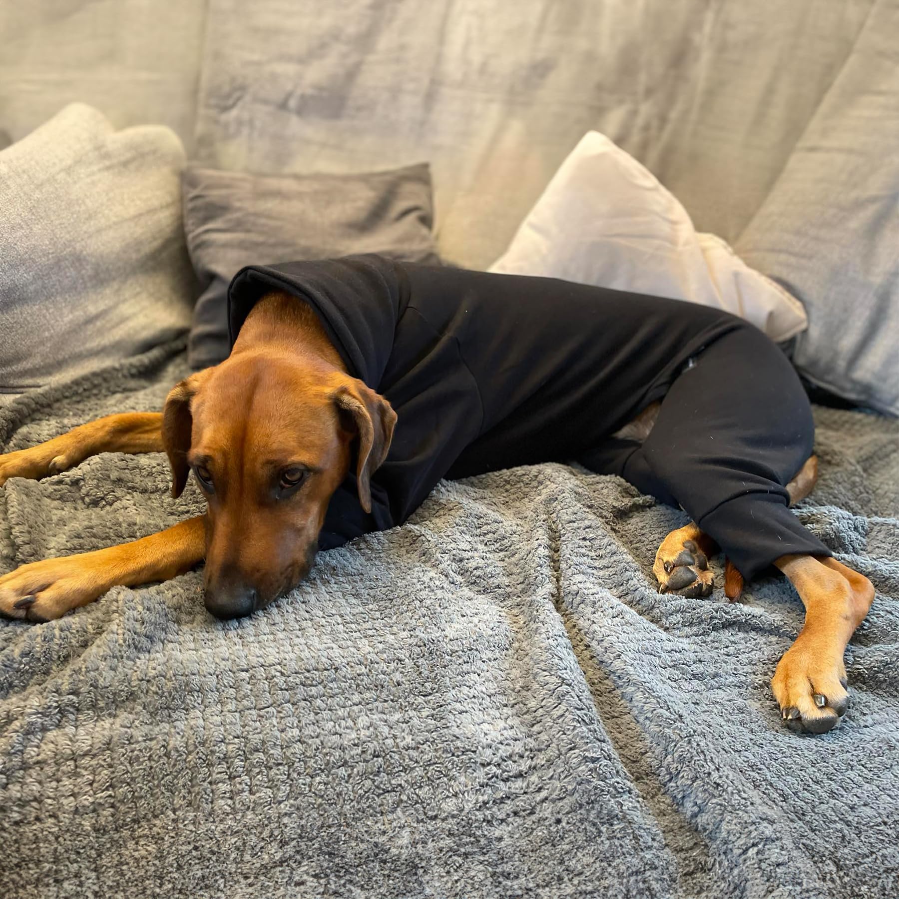 EDEL&SCHNELL Hundepullover warm, Hundemantel aus Baumwolle, Overall für Hunde Größe 65-70, Schwarz mit langem Kragen und Beinen