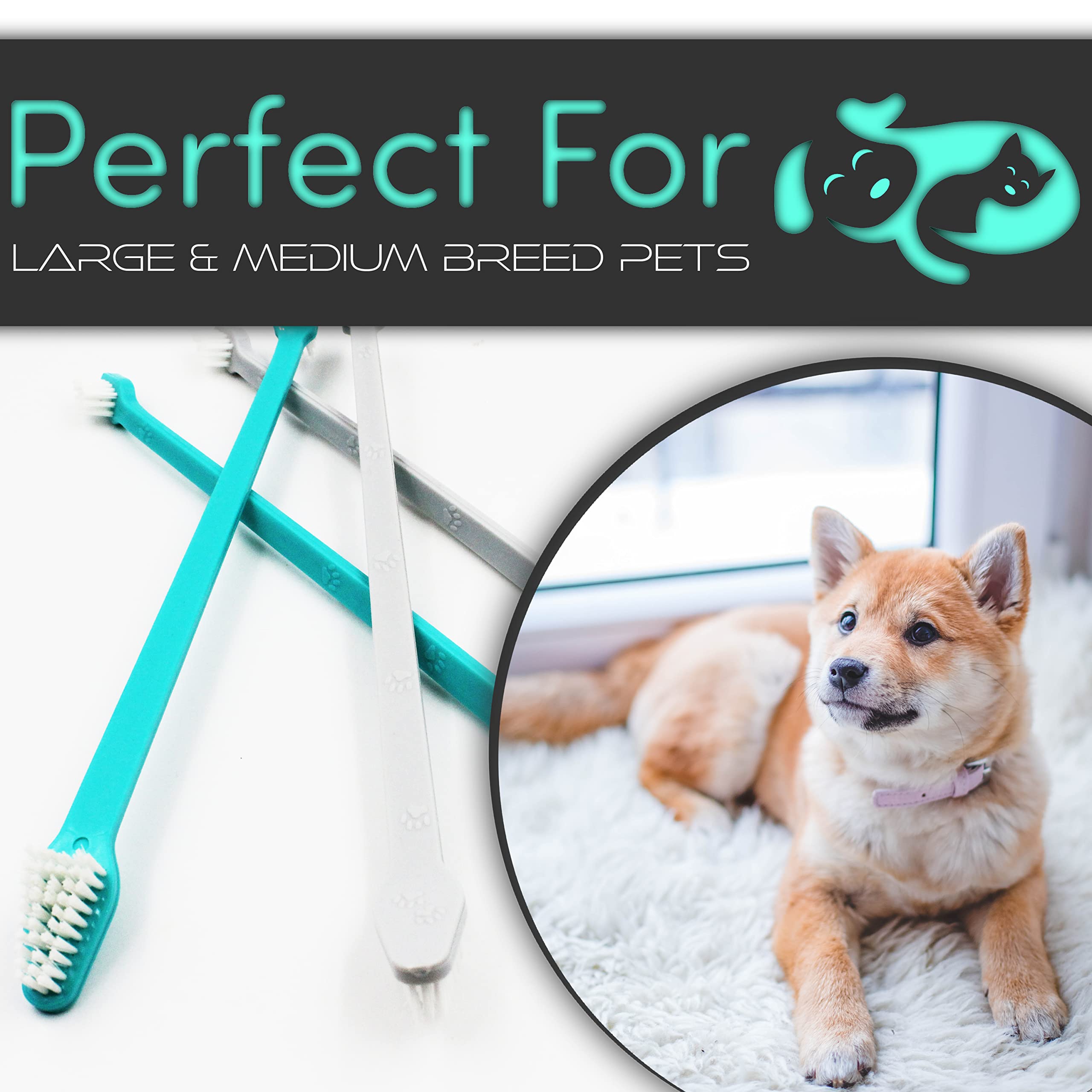 H&H Pets Cepillo de dientes para perros con diseño de doble cabeza para perros pequeños y grandes, paquete de 4 u 8 unidades