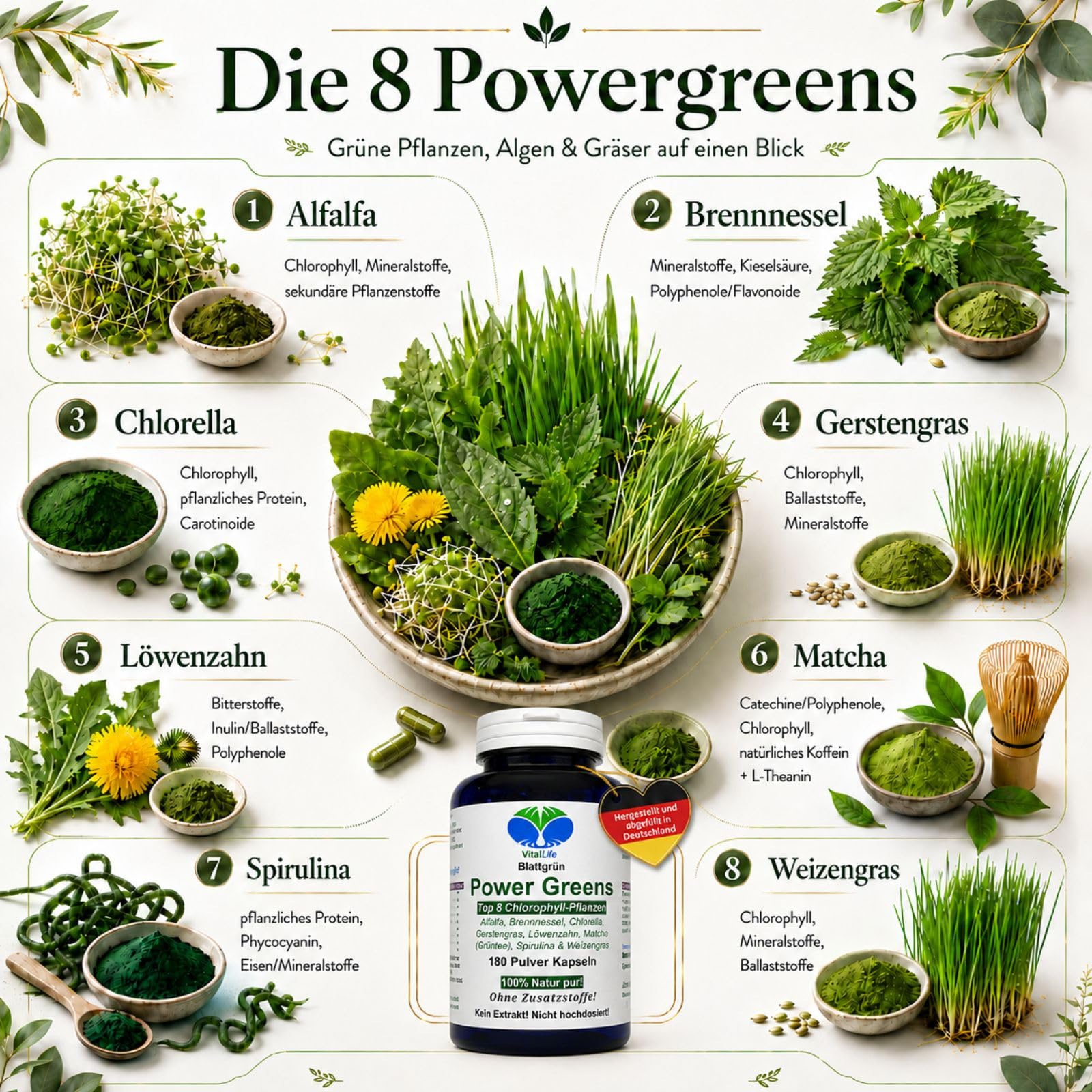 Green Power Greens Top8 Chlorophyll Supergreens 180 Pulver Kapseln mit Alfalfa Brennnessel Chlorella Gerstengras Löwenzahn Matcha Spirulina Weizengras. Natur pur. Ohne Zusatzstoffe. 26332-180