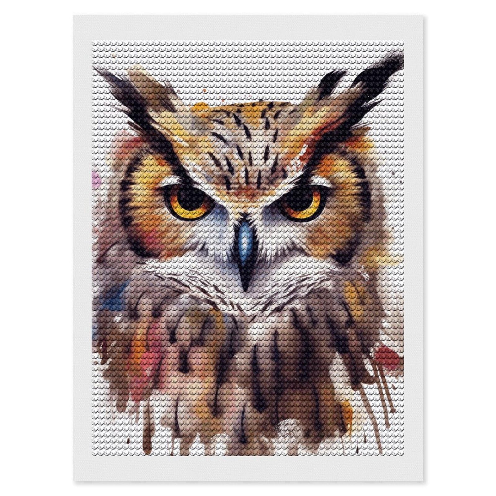 Diamond Painting Kits for Adults - DIY Diamond Art Kits for Beginners - Full 5D Paint Drill Diamond Dots Paintings- Watercolor Cool Owl Head Diamonds Pictures Gem Art And Craft Wall Decor 12"x16"