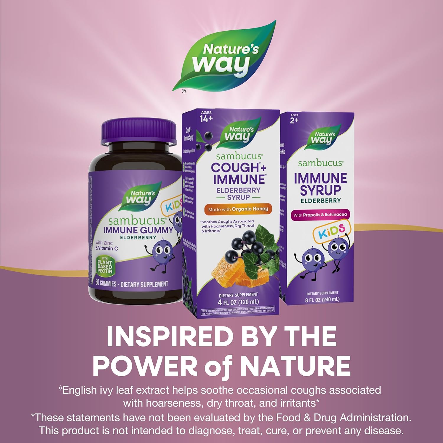 Nature's Way Sambucus HoneyBerry Cough Syrup with Black Elderberry Extract & Organic Honey, Immune Support*, 4 Fl. Oz