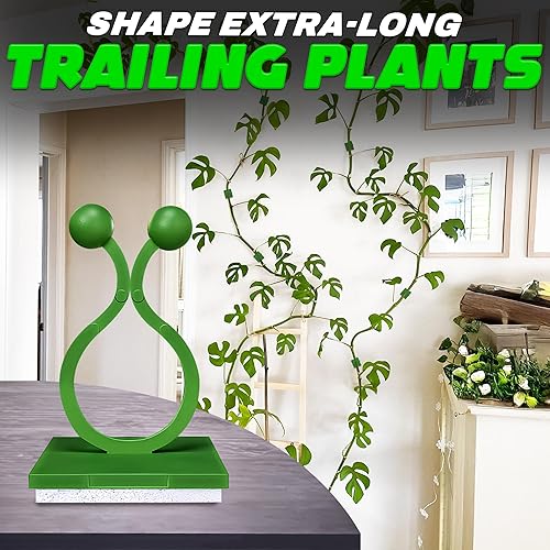 Miniatura 8 de Clips de pared para plantas trepadoras, 110 unidades, soporte para trepadores de plantas Pothos, clips de pared de tamaño grande, mediano y pequeño