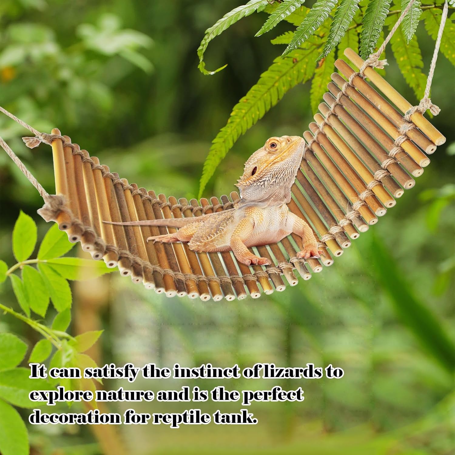 Reptile Climbing Bridge, Bamboo Lizard Ladder Bridge Bearded Dragon Hammock Lizard Lounger Hanging Terrarium Vines Decor Reptiles Habitat Tank Accessories for Gecko Chameleon(4PCS)